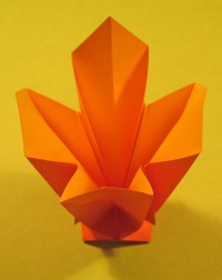 tulip foldes, 04