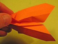 tulip foldes, 09