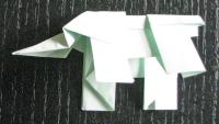 elefant foldes, 41