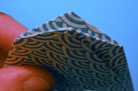 fisk foldes, 20