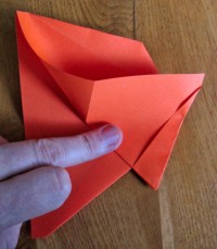 fly foldes, 10