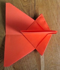 fly foldes, 11