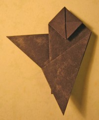 fugl foldes, 11