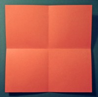 fugl foldes, 02