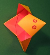 fugl foldes, 12