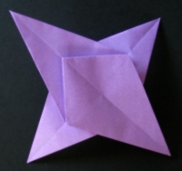 fugl foldes, 14