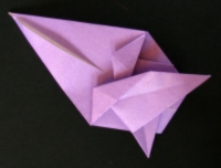 fugl foldes, 19