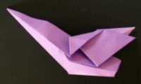 fugl foldes, 20