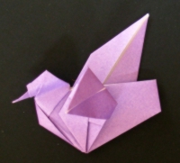 fugl foldes, 39