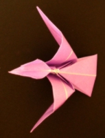 fugl foldes, 50
