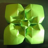 Blomst foldes, 08