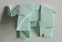 elefant foldes, 47