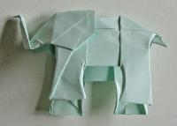 elefant foldes, 49