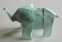 elefant foldes, 51