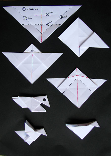 fuglediagram
