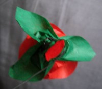 rose foldes, 15