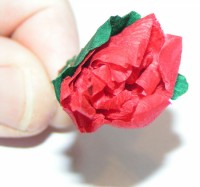 Blomst