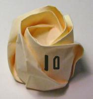 rose foldes, 10
