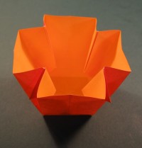 roset foldes, 01