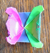 Skildpadde 8 foldes, 40