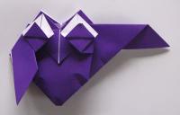 Ugle foldes, 30