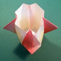 vase foldes, 10