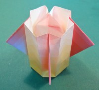 vase foldes, 11