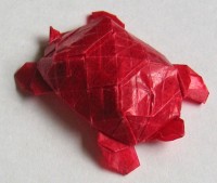 skildpadde med skjold